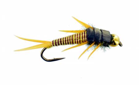 Wired Golden Stonefly