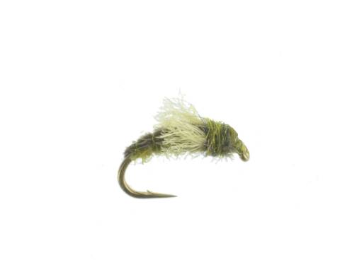 Z-Wing Caddis Pupa - Olive