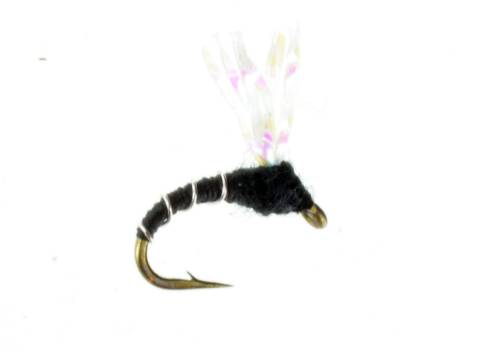 Zebra Midge Pop-top Pearl