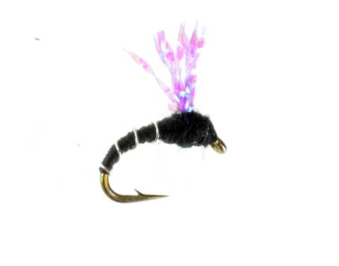 Zebra Midge Pop-top Purple