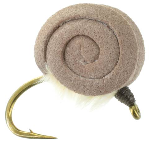 Foam Snail