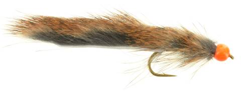Hot Head Leech