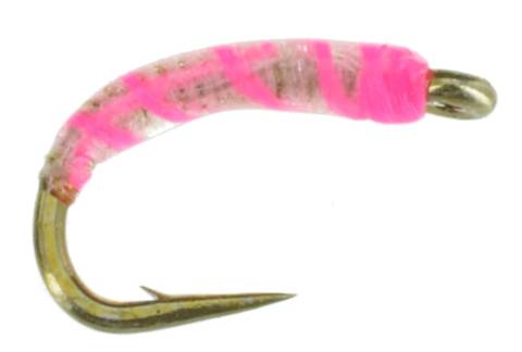 Neon Nightmare Midge Larva