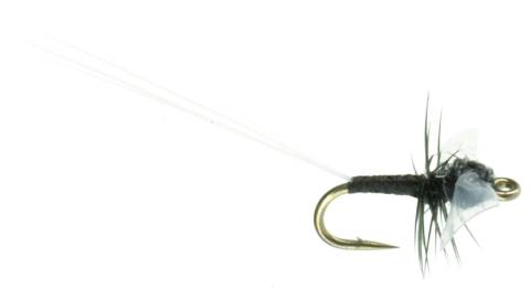 Tails Up Trico - Black