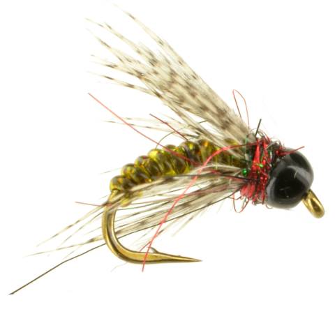 Transparent Caddis Larva