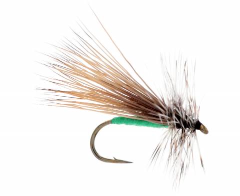 Apple Caddis