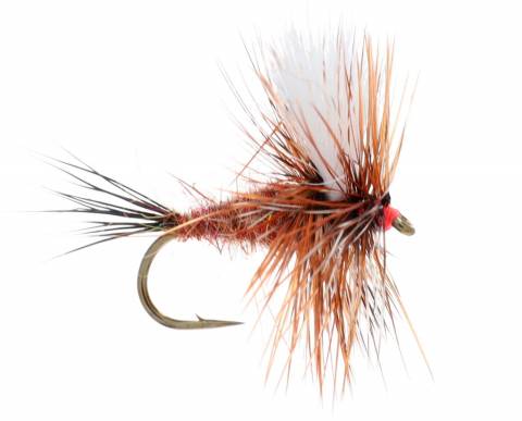 Ausable Wulff