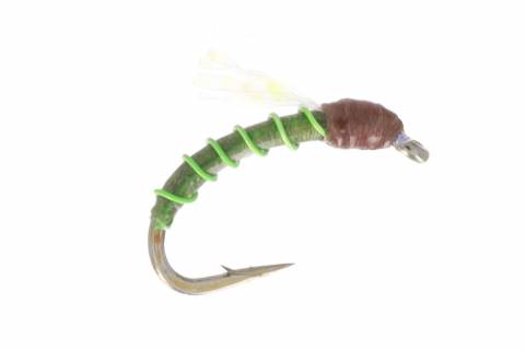 Cat's Applet Midge
