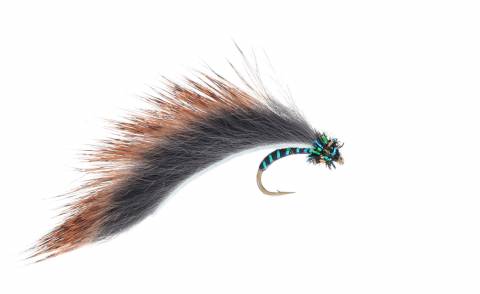 Cat's Oatmeal Leech