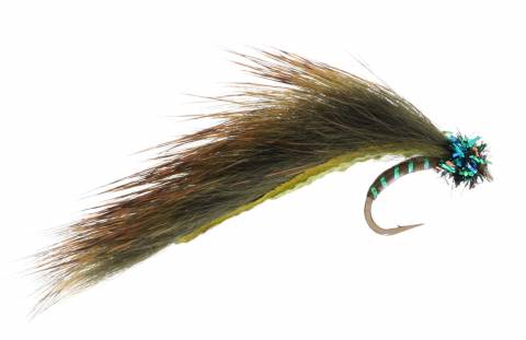 Cat's Olive Leech