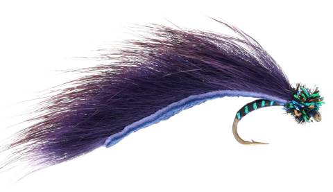 Cat's Purple Leech