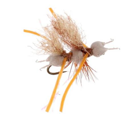 Cubby Chubby Ant - Brown