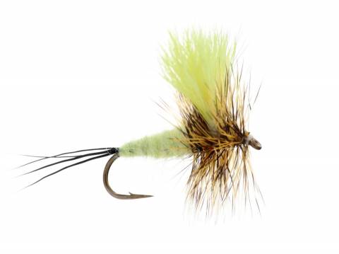 Eastern Green Drake Wulff