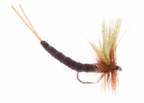 Extended Body Mayfly - Brown