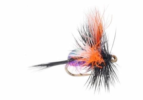 Loco Foam Humpy  - Black and Purple