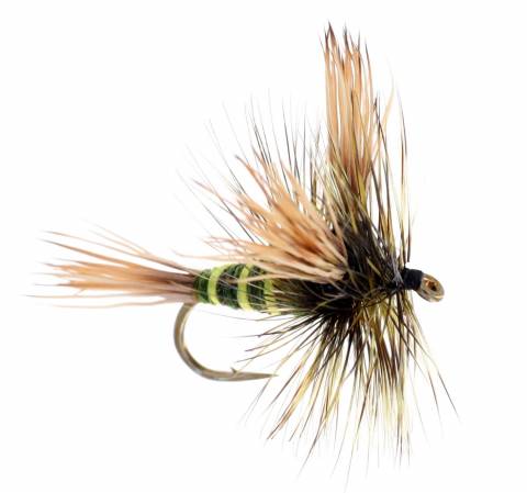Green Drake Wullf