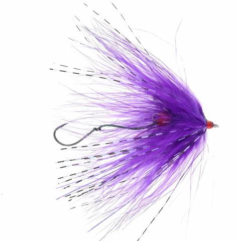 Hoh Bo Spey Steelhead Fly - Purple and Orange