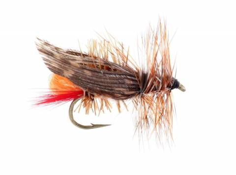 Joe's Hopper - Orange