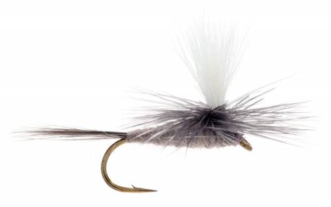Parachute Blue Dun