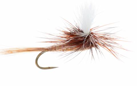 Parachute March Brown