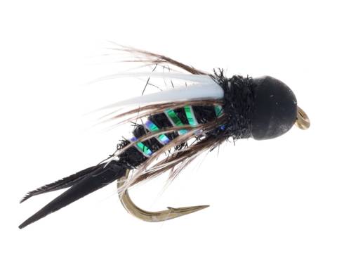 Prince of Darkness Stonefly