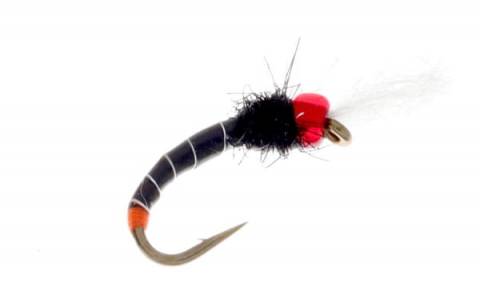 Red Head Chironomid