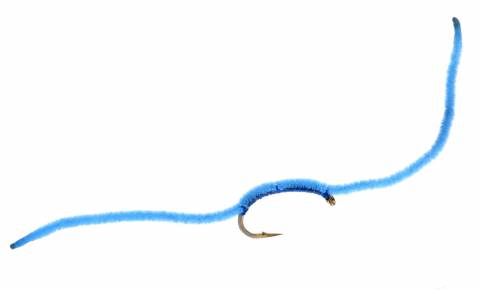 San Juan Worm -  Blue