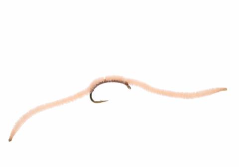 San Juan Worm -  Light Tan