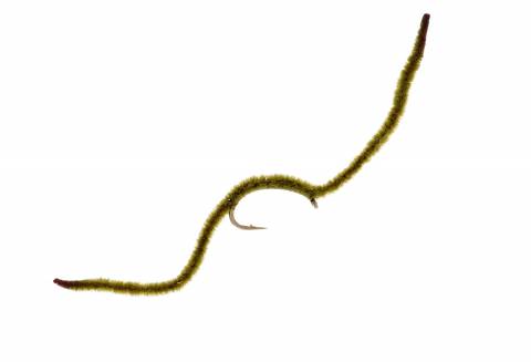 San Juan Worm -  Olive