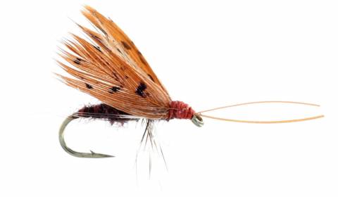 Slow Water Caddis - Brown