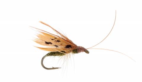 Slow Water Caddis - Tan Olive