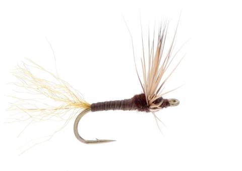 Sparkle Dun - Blue Quill