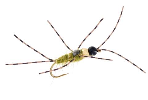 Ugly Stonefly Bomb - Olive