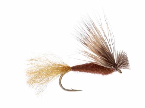 X-Caddis - Dark Brown