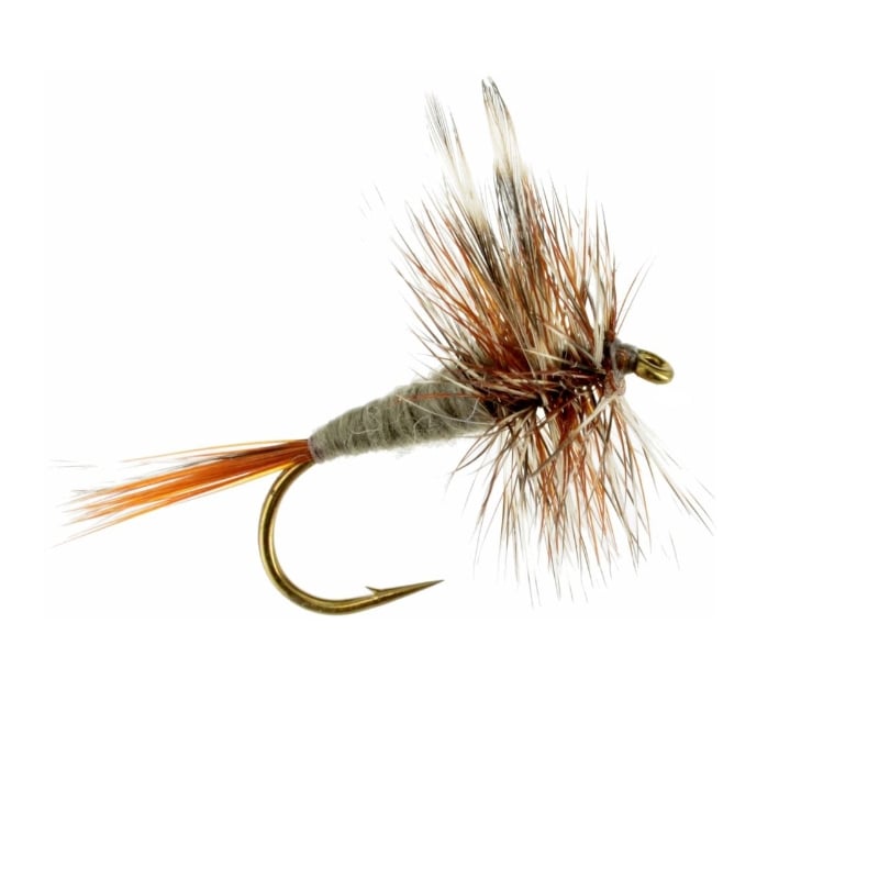 All Dry Flies