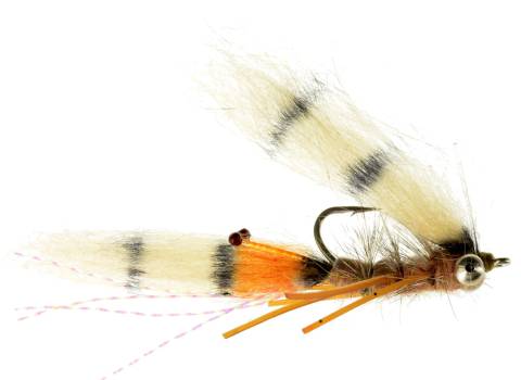 Bone Jovi Spawning Shrimp Beadchain (811S)