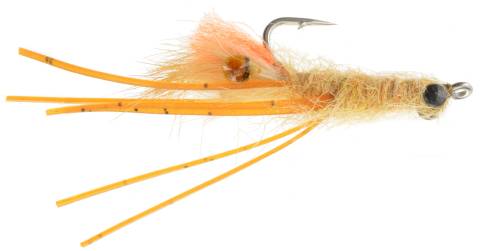 Orange Bearded Mantis Shrimp - Tan (811S)