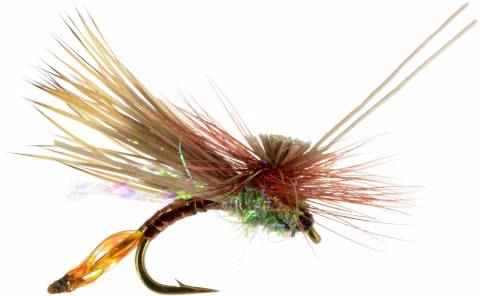 AC Caddis - Pheasant Tail