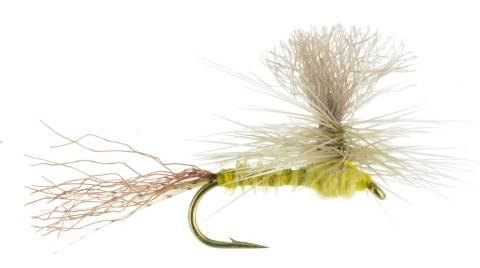 Alex's Biot Parachute Sulphur PMD