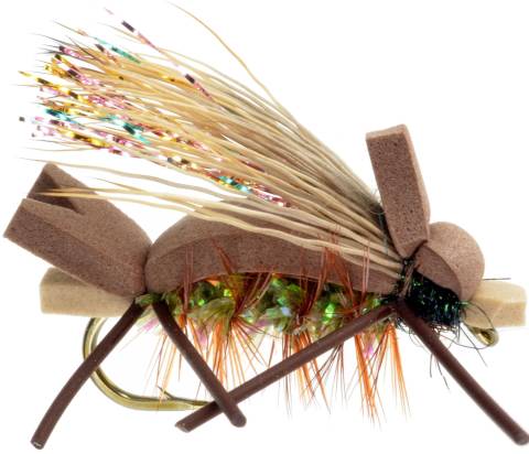 Amy's Ant - Olive