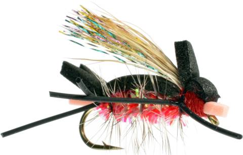 Amy's Ant - Red