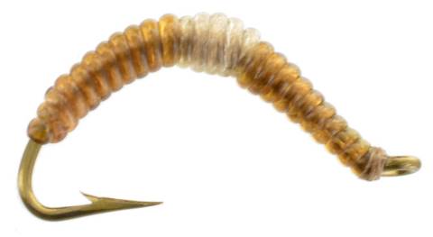 Aquatic Earthworm