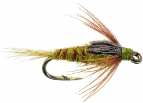 Baetis BWO Nymph