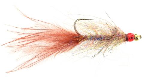 Balanced Leech - Canadian Brown