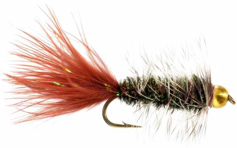Bead Head Wooly Bugger - Peacock/Brown Tail