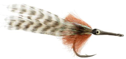 Big Eye Tarpon