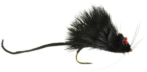 Black Mouse Rat