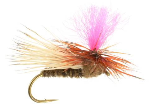 Bloom Caddis