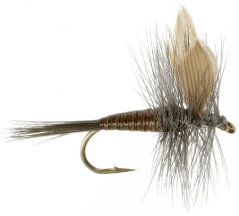 Blue Quill