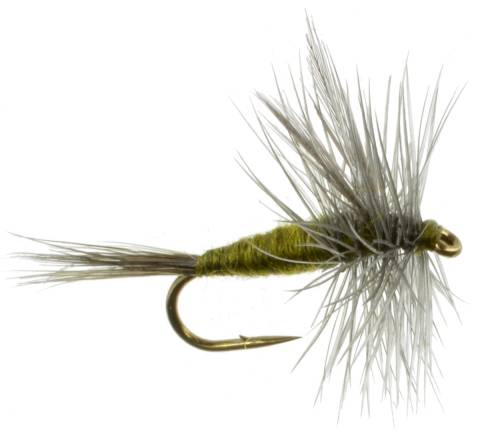 Blue-winged Olive